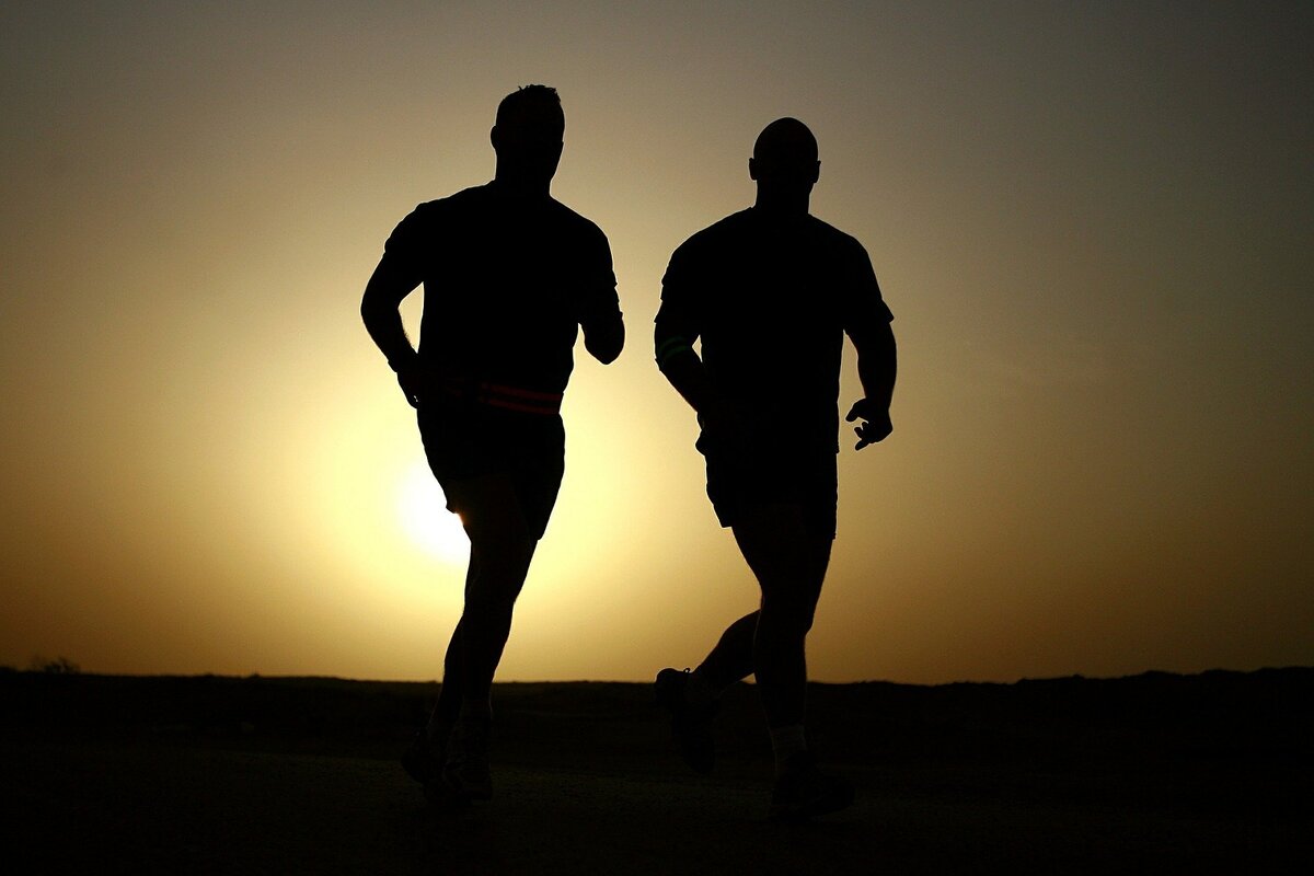 Источник: httpspixabay.com