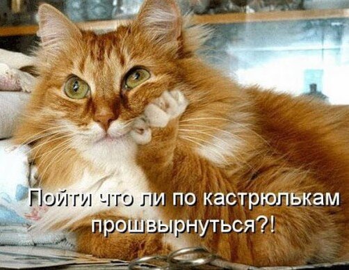 Комфорт - наше всё...