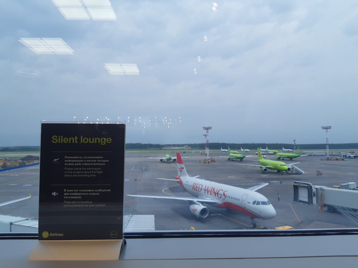 Внутренний вылет домодедово. С7 авиакомпания в Домодедово. S7 Airlines аэропорт Домодедово внутри. S7 Airlines Домодедово Симферополь. Бизнес зал Домодедово s7 на схеме аэропорта.