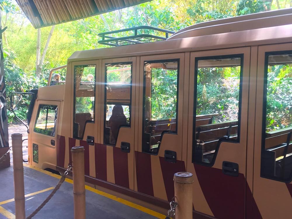 Сафари парка