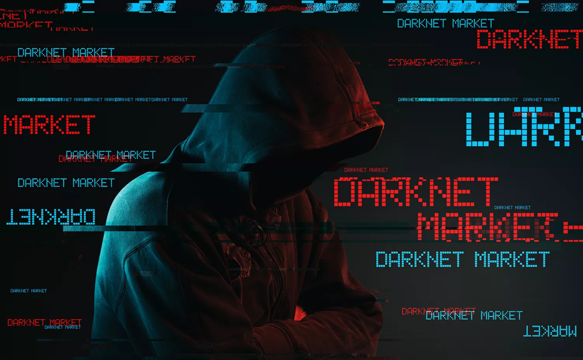 Продажа баз данных в DarkNET, или как защититься | Проект SFERA Live | Дзен