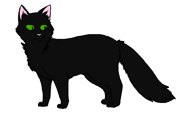 Сумеречная Звезда, первая предводительница Племени Теней.