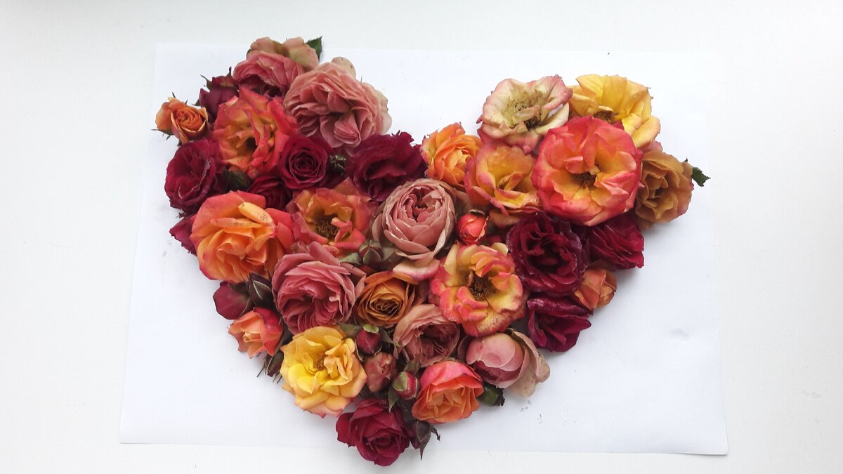 Мая любимая соседка просит осенью срезать розы, срезала забрала себе и сделала  во такую красоту)))