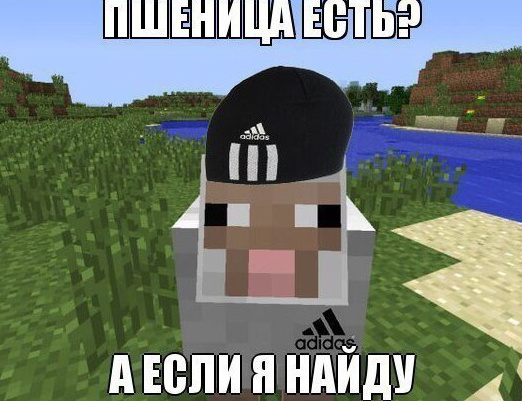 Взято из Яндекс картинок