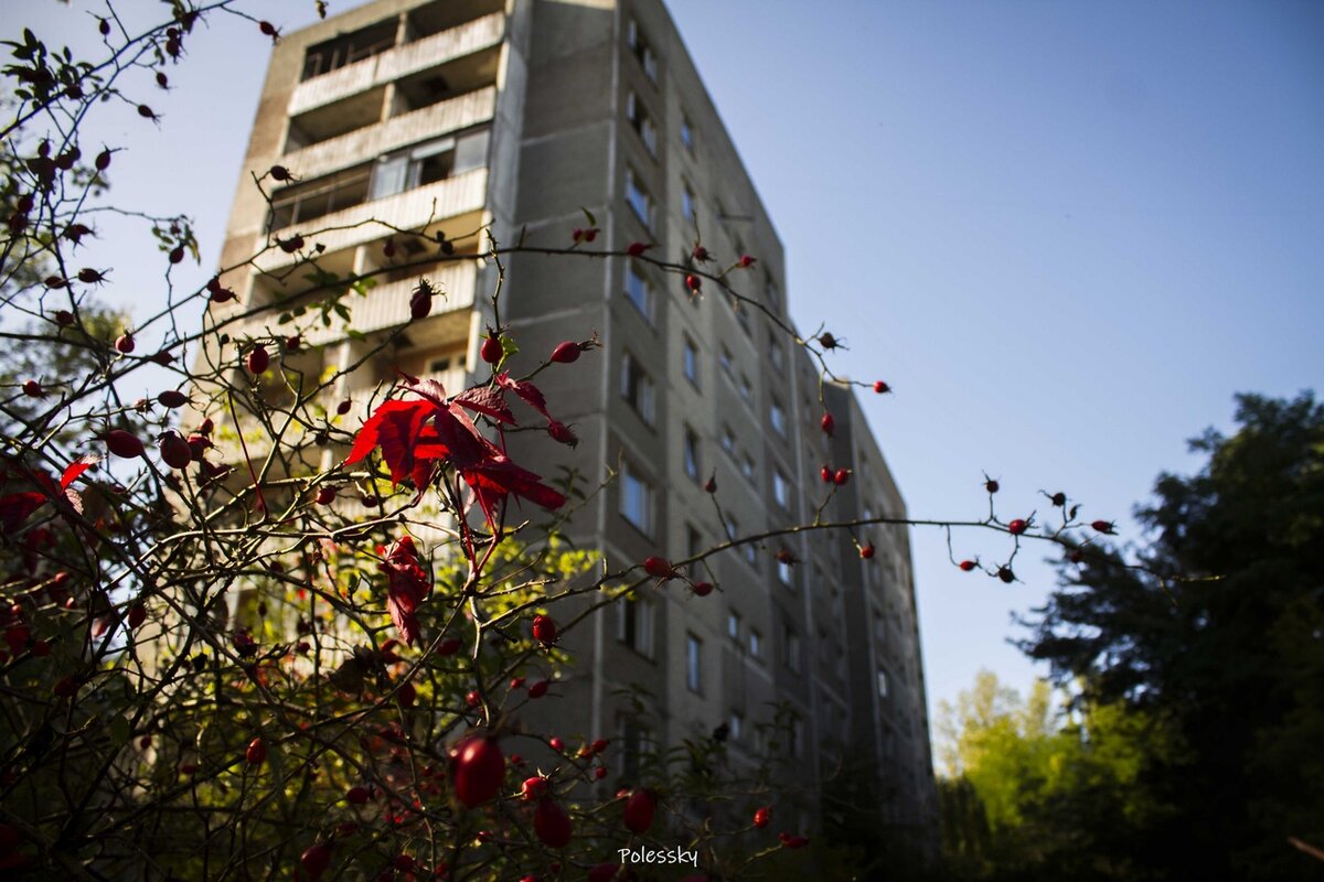 Припять - осень 2020 года
