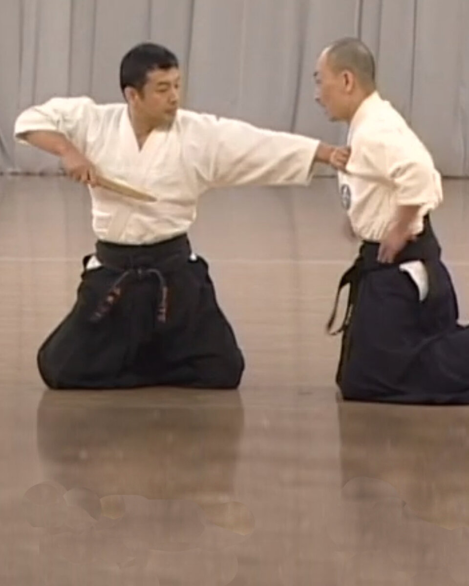 Демонстрация традиционной школы японского джиу-джитсу