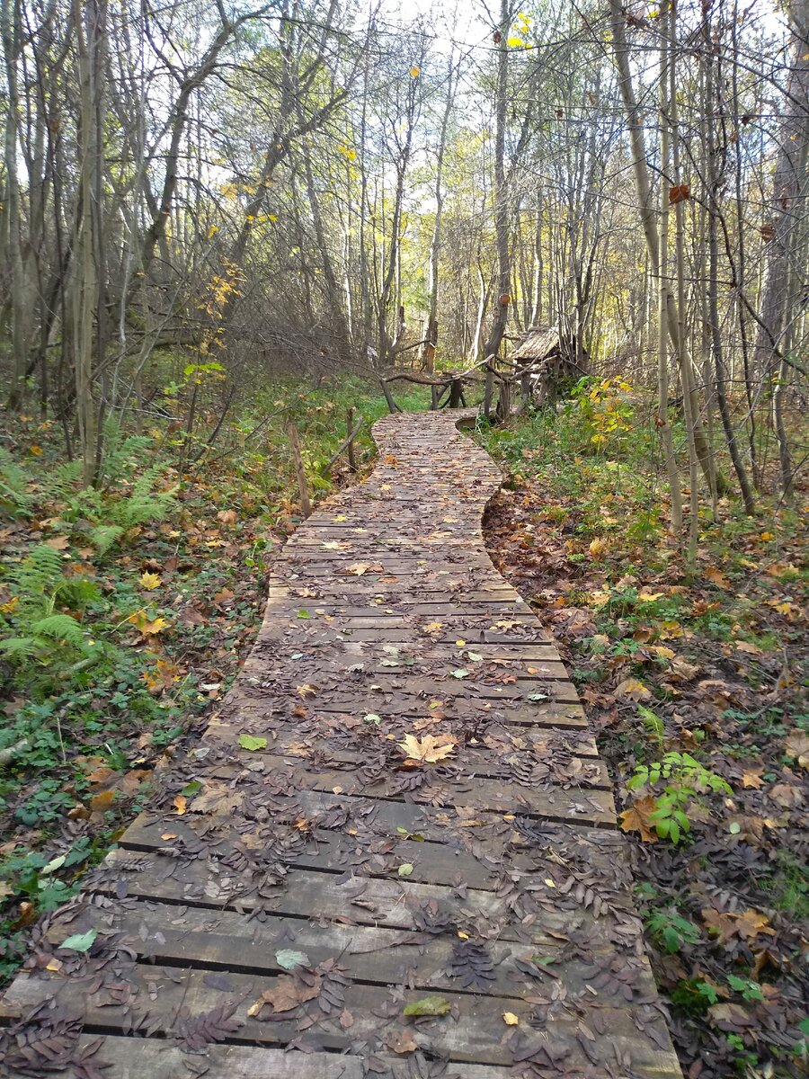 Тропа в посёлке Сиверский.