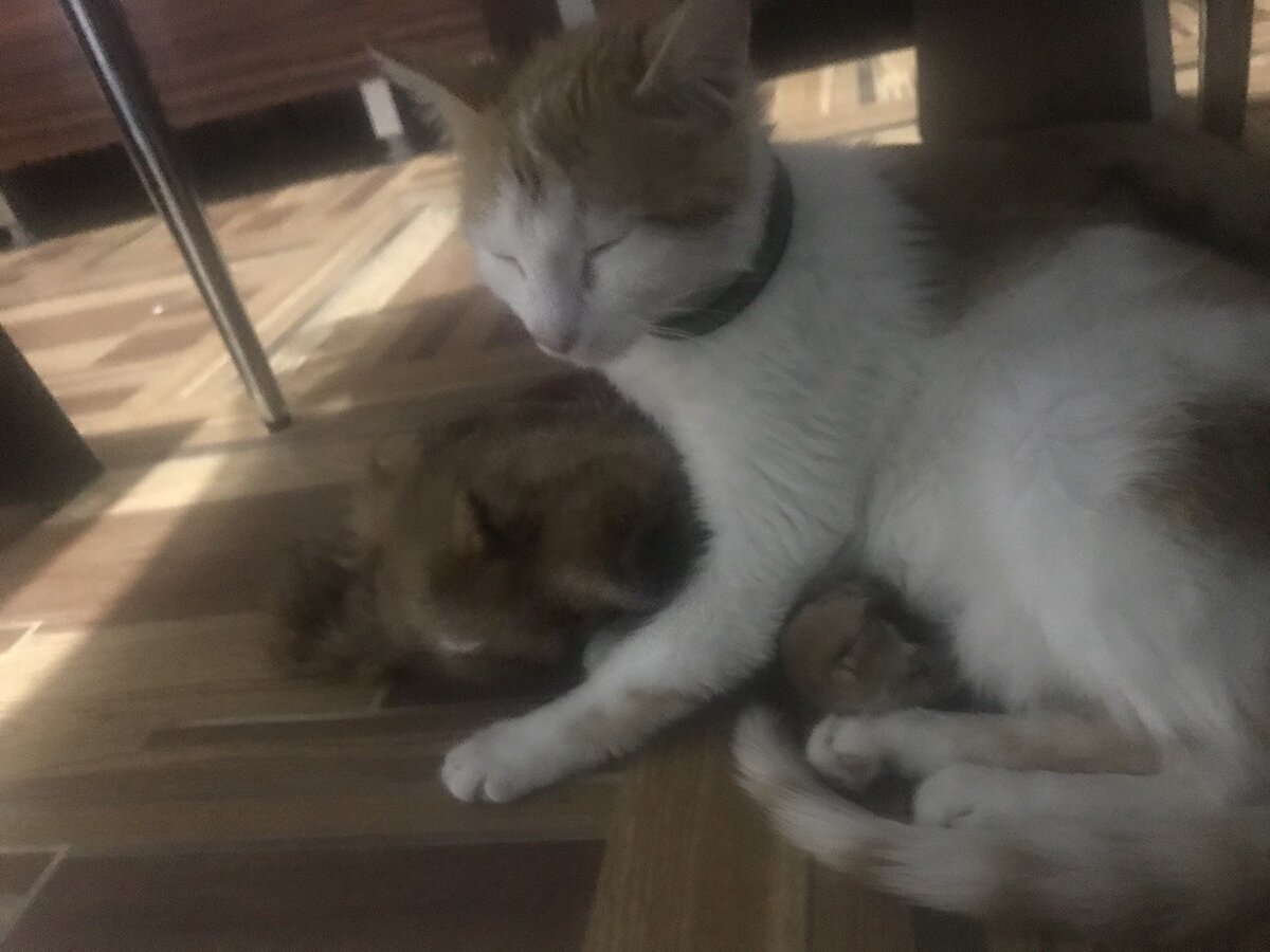 Если статья вам нравится и полезна, не забудьте поделиться ею с друзьями