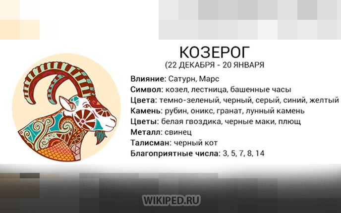 Гороскоп на сегодня для Козерога: точный астрологический прогноз - Гороскопы afisha-piknik.ru