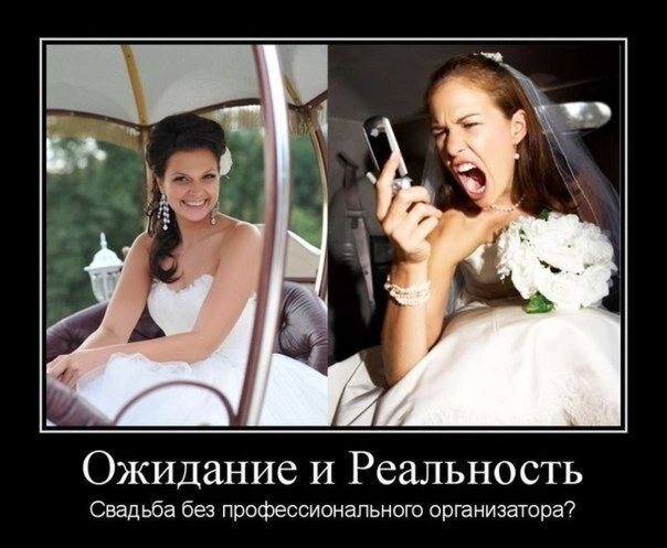 фото для оформления статьи с сайта свободного доступа