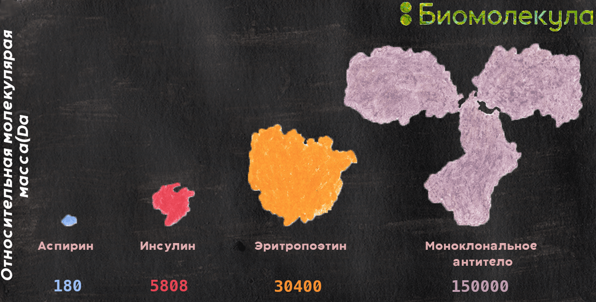 Сравнение размера и молекулярных масс различных лекарств: аспирина, гормонов инсулина и эритропоэтина и моноклонального антитела