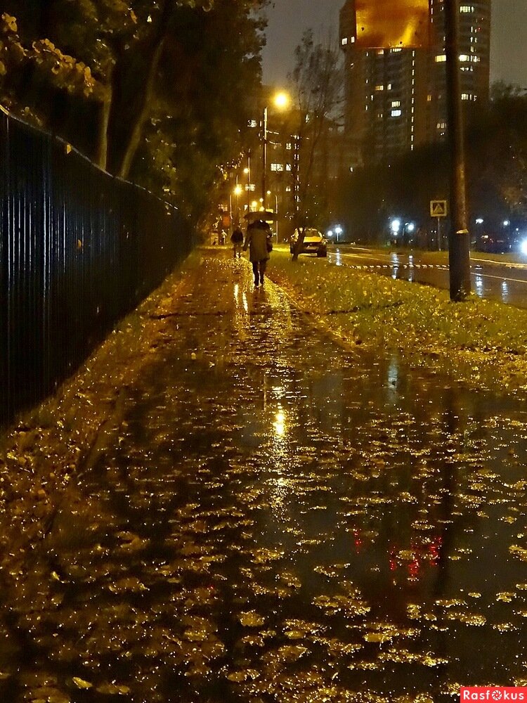 8=9 сентября 2000 г.