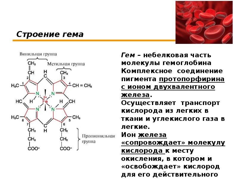 взято с интернета