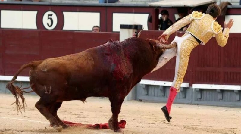 Добыто из интернета. Наверно это любовь?