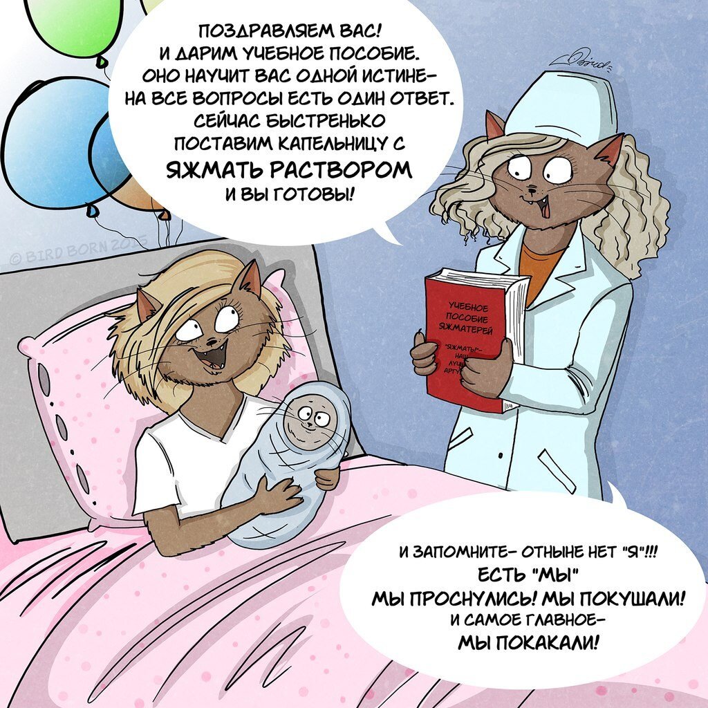 Картинка взята с открытого источника 