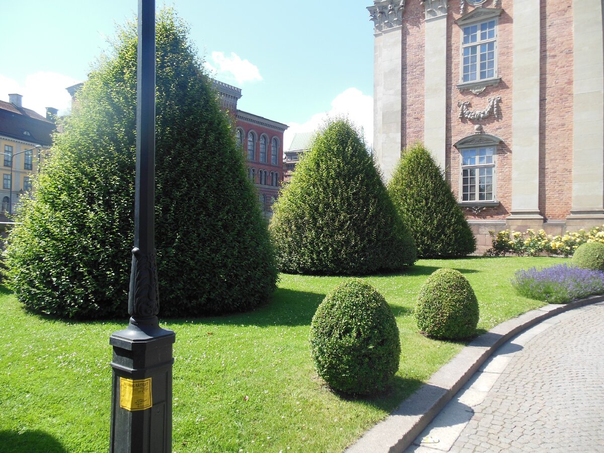 СМОТРИ ПО СТРЕЛКЕ