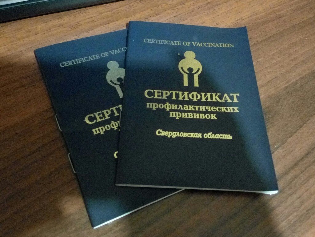 Сертификат прививок картинки