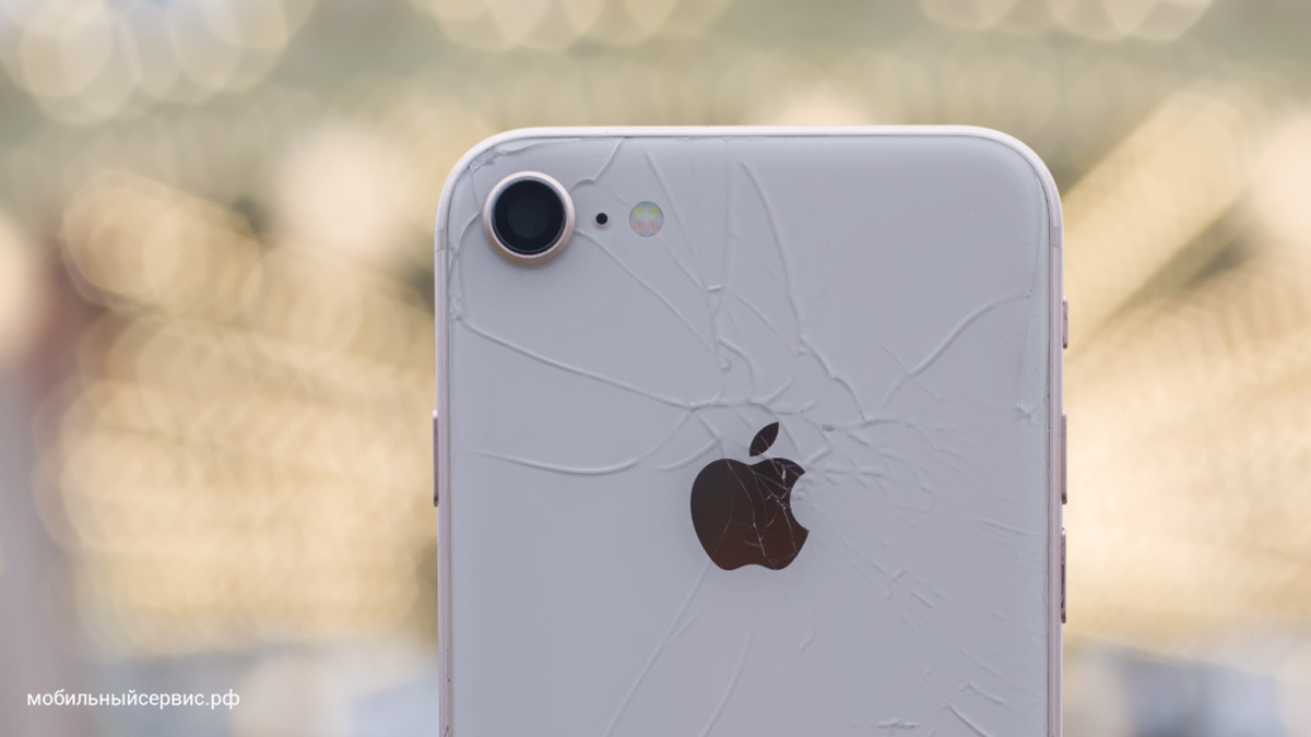 iPhone 8 до замены задней крышки
