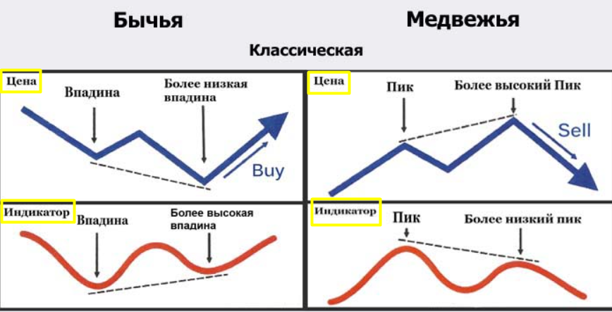 Физиология дивергенция схема