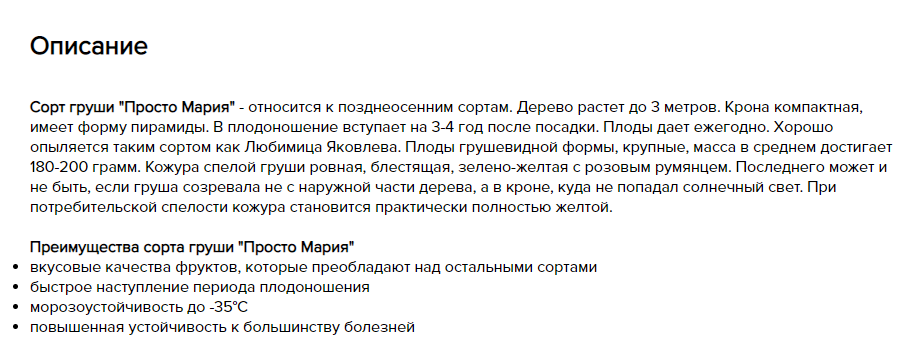 фото из открытого источника

