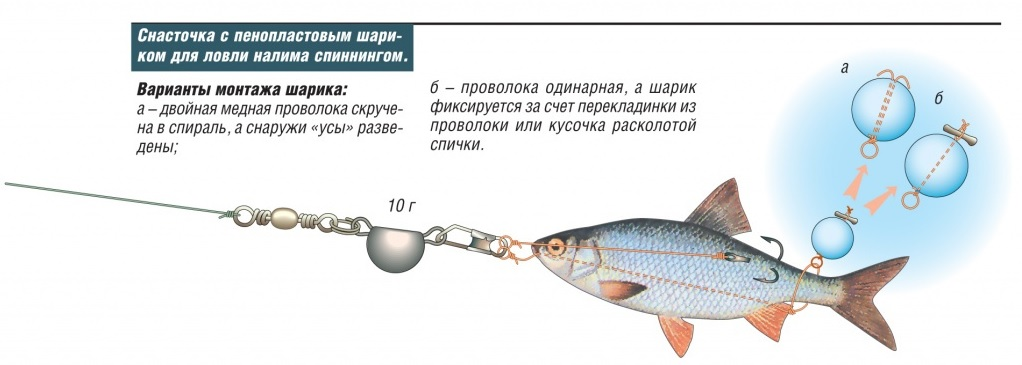 Ловля налима зимой на жерлицы и поставушки — оснастка, изготовление