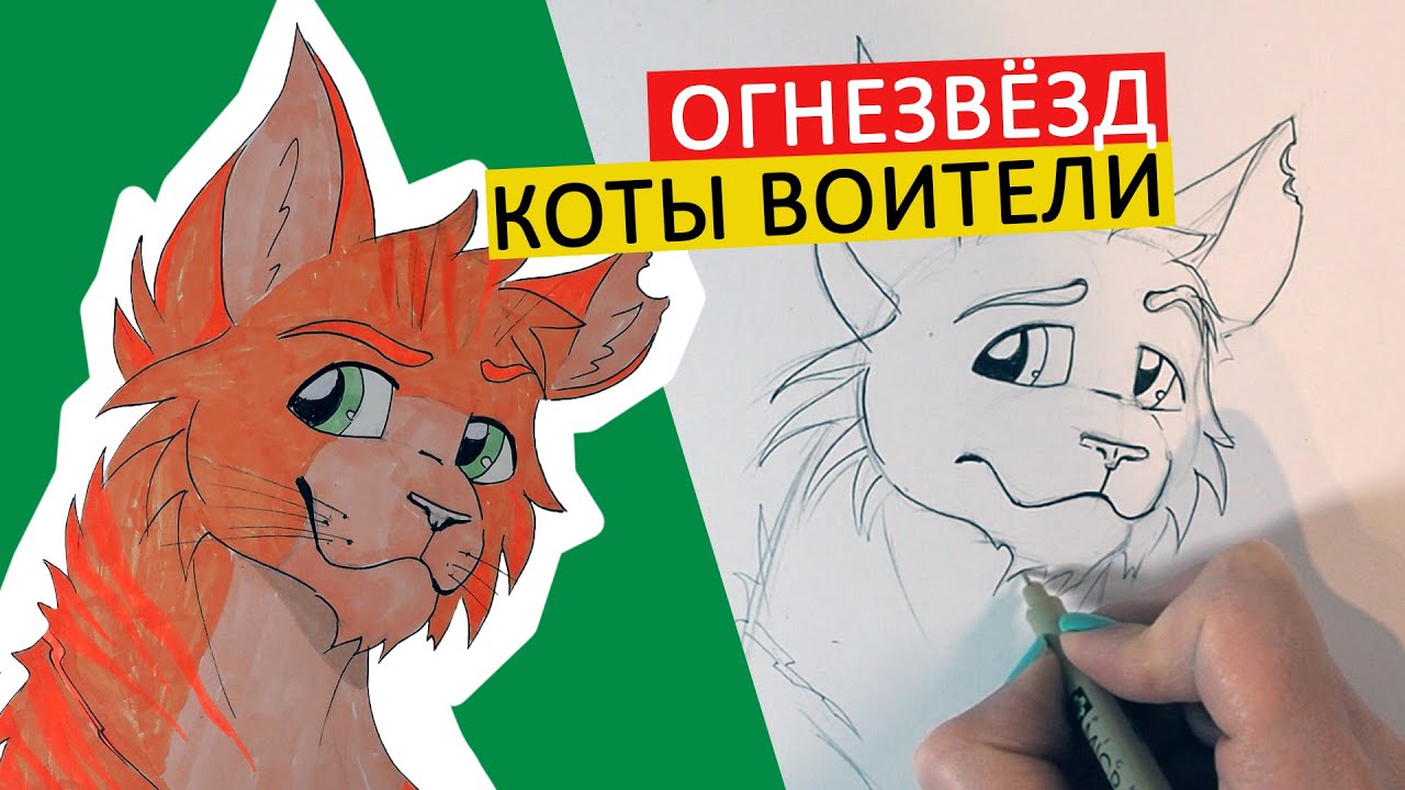 коты воители учемся рисовать котов воителей