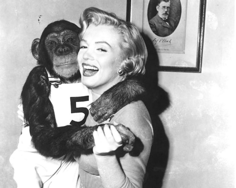 Фото: Мэрилин Монро во время съемки фильма «Monkey business» (источник: perfectlymarilynmonroe.com)