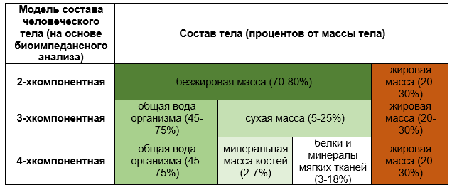 Таблица 1. Состав тела человека в зависимости от модели на основе биоимпедансного анализа.