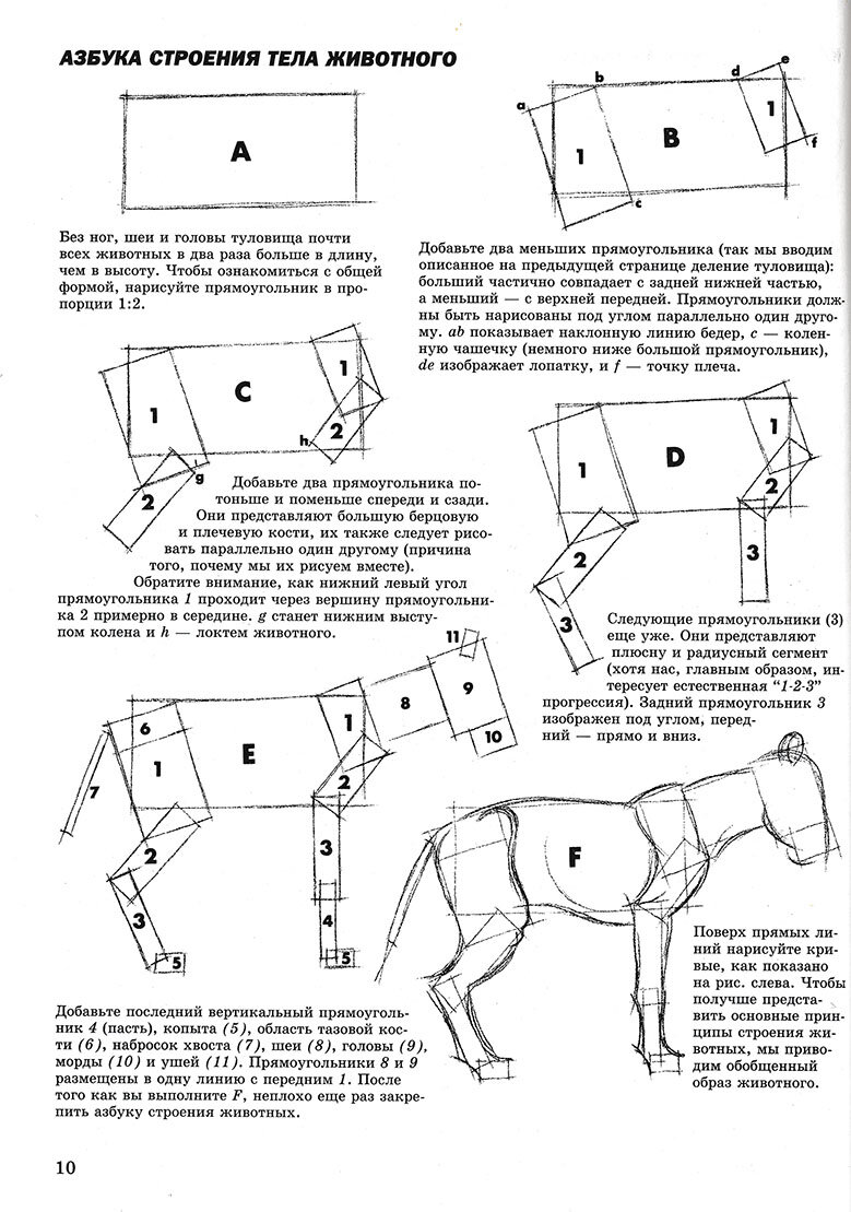 Джек хамм как рисовать животных