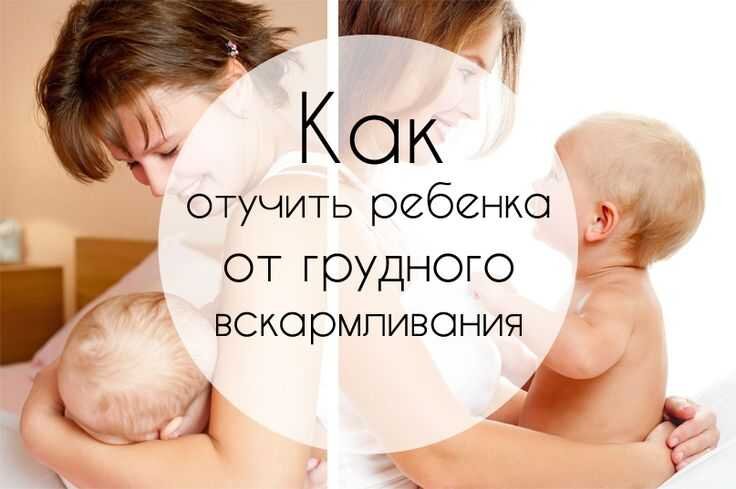 Картинка с интернета