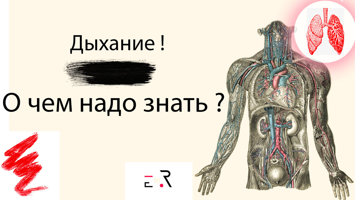 Дыхание. как дышать ? Дыхательная система. | Дима Ушенко | Дзен