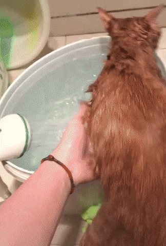 Ой, тёпленькая пошла.