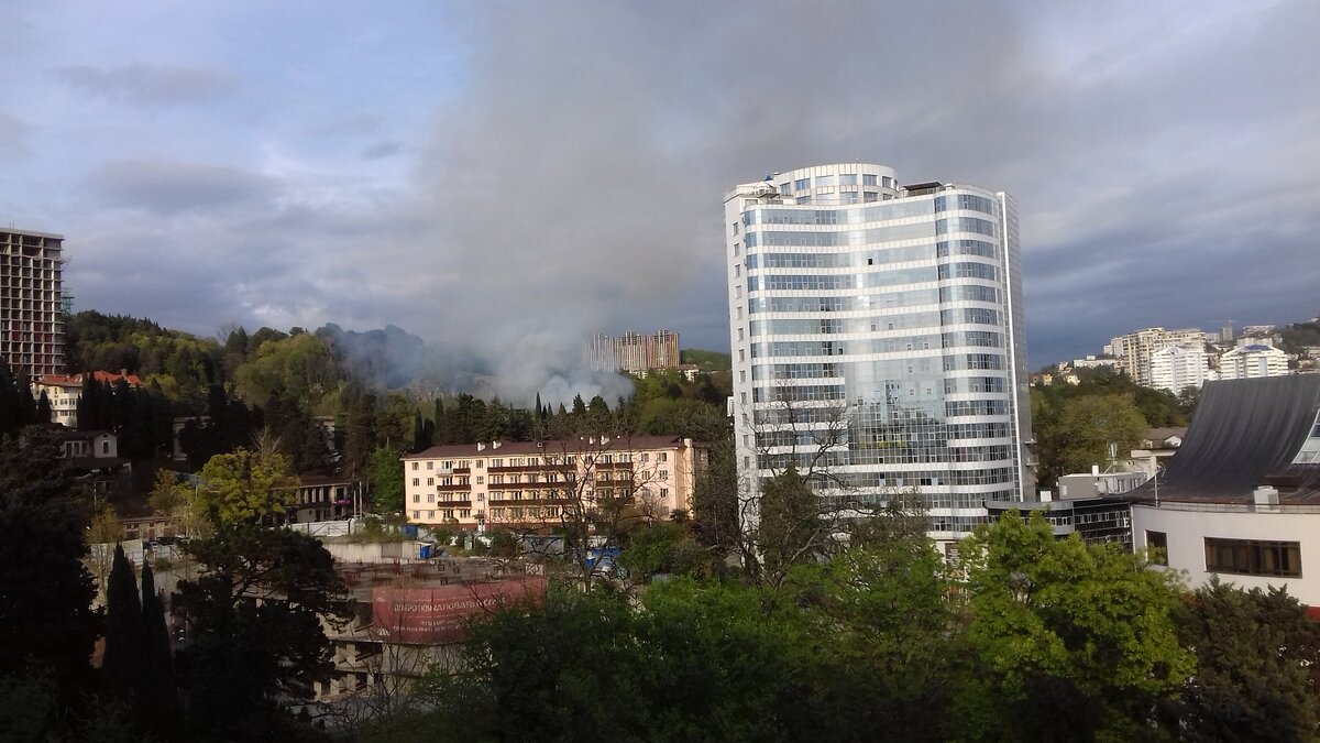 Дым над Дендрарием в Сочи.