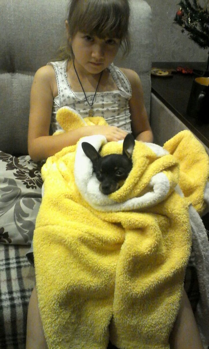 Забрали страдальца к себе