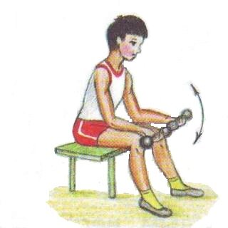 Поднимание рук к плечам сидя