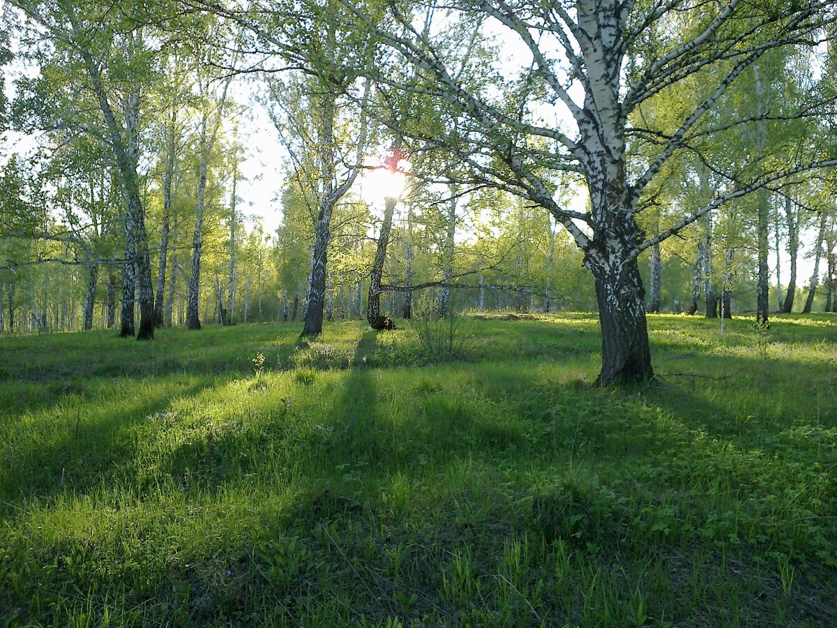 чтобы такое нарисовать валик не нужен 