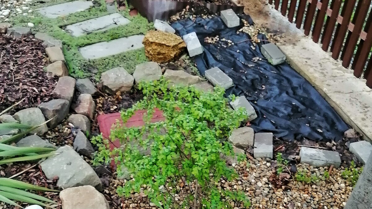 Так выглядело это место после зимы. Спанбонд лежит, чтобы весной не начали расти сорняки.