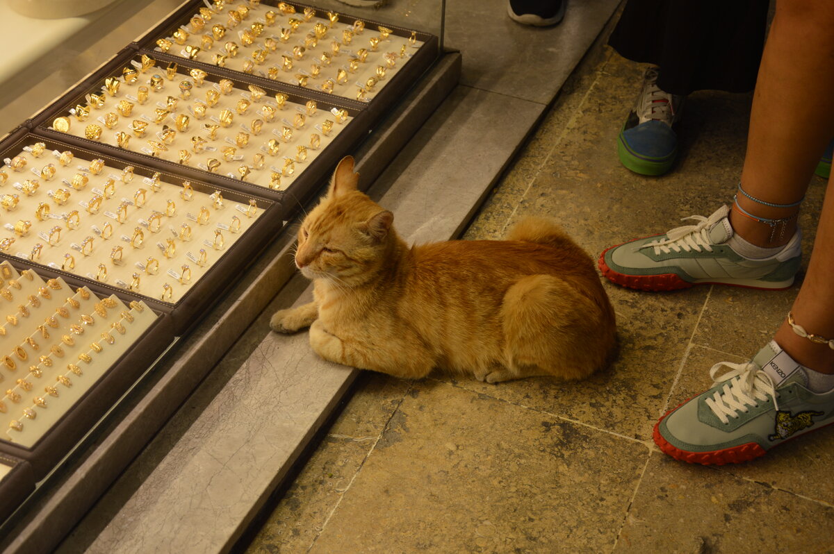 Все фото в этом посте сделаны автором 