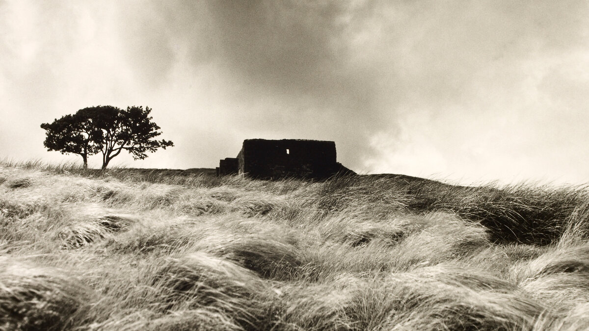 Wuthering heights. Wuthering heights 1939. Грозовой перевал 2012.