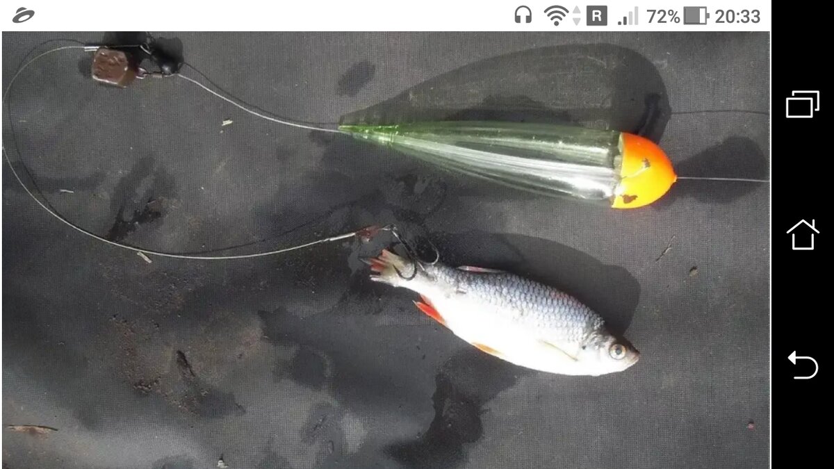 фото удочка на щуку, вместо снасти кружка на рыбалке с берега