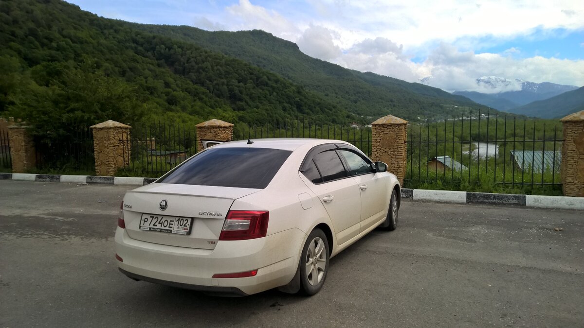 Моя красотка