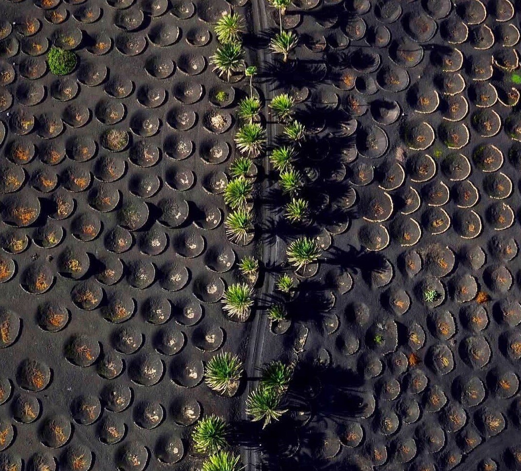 Источник: @discover.canarias 
