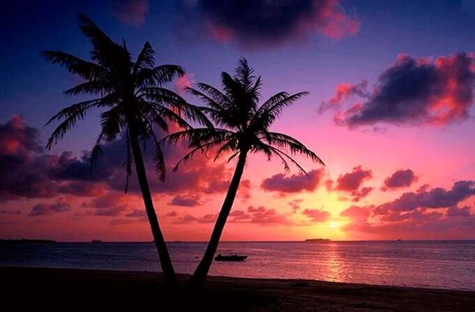 Гоа в январе, путешествие, зимовка, погода на Гоа