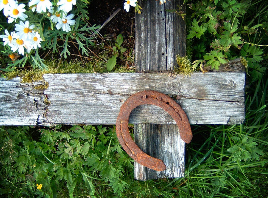 Яндекс.картинки