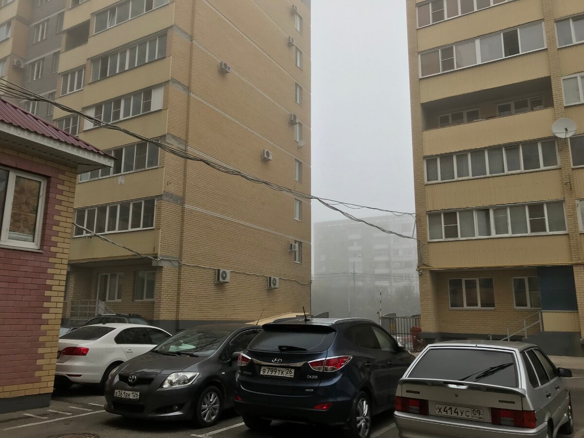 Фото сделано в 8:55 - на прогулке с собакой (фото автора)