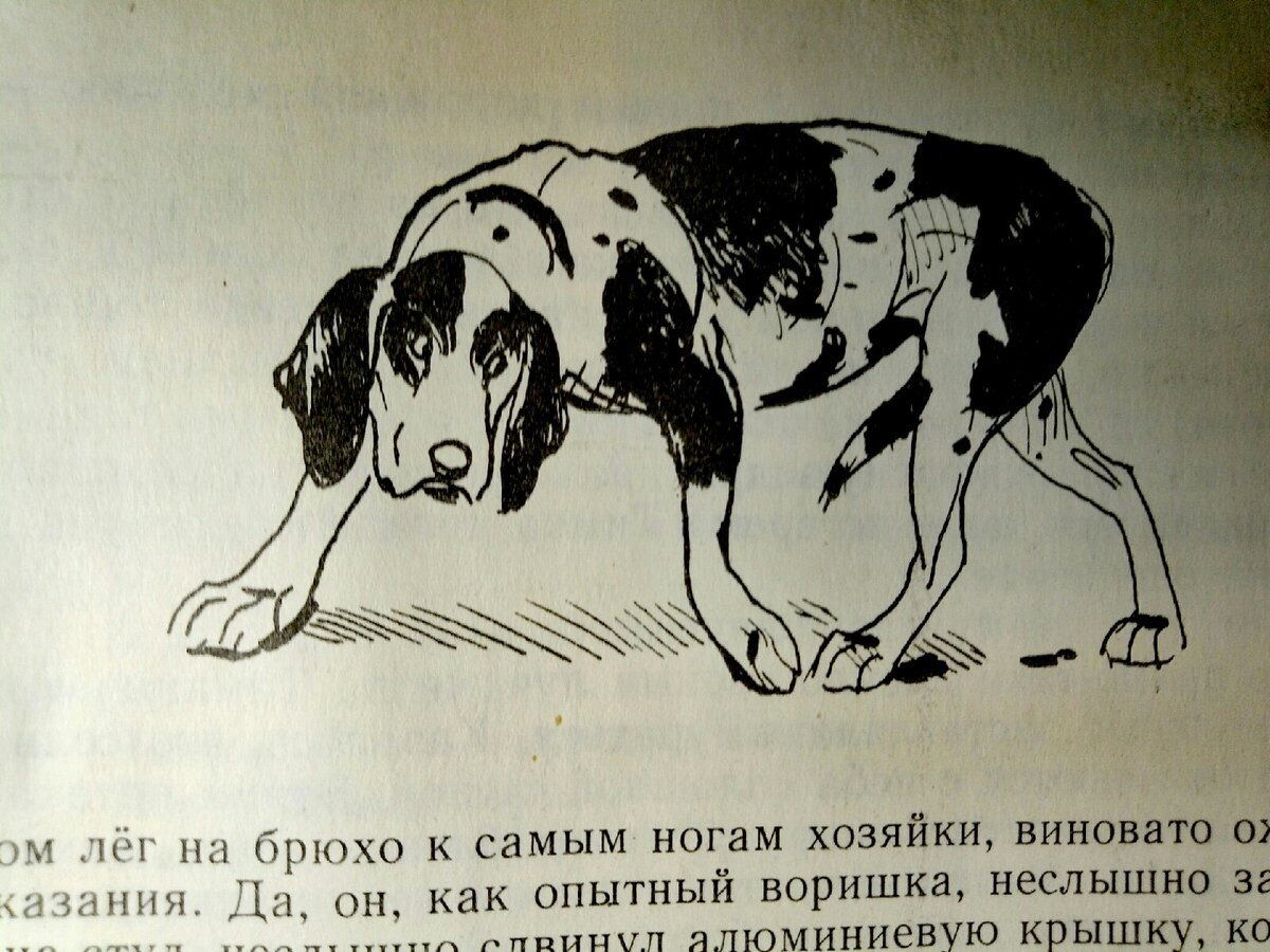Текст тобик. Текст тобик. Дружище тобик рассказы о собаках. Дружище тобик рассказы о собаках. Текст тобик.