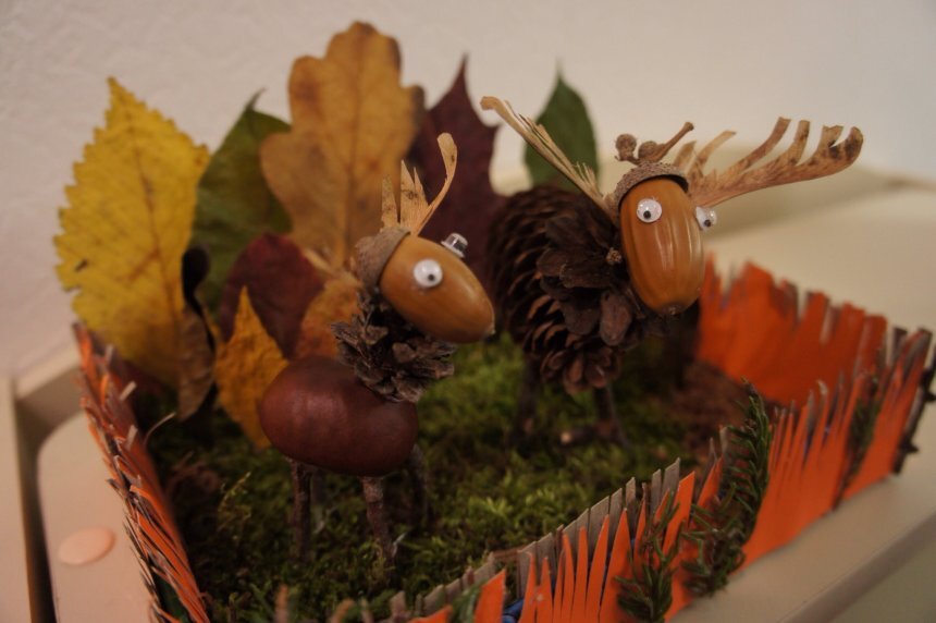 фото https://wachanga-res.cloudinary.com