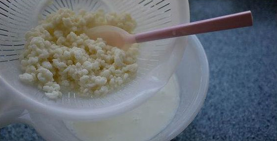 Кефирные гранулы вот так выглядят - похожи на творог, зернистые