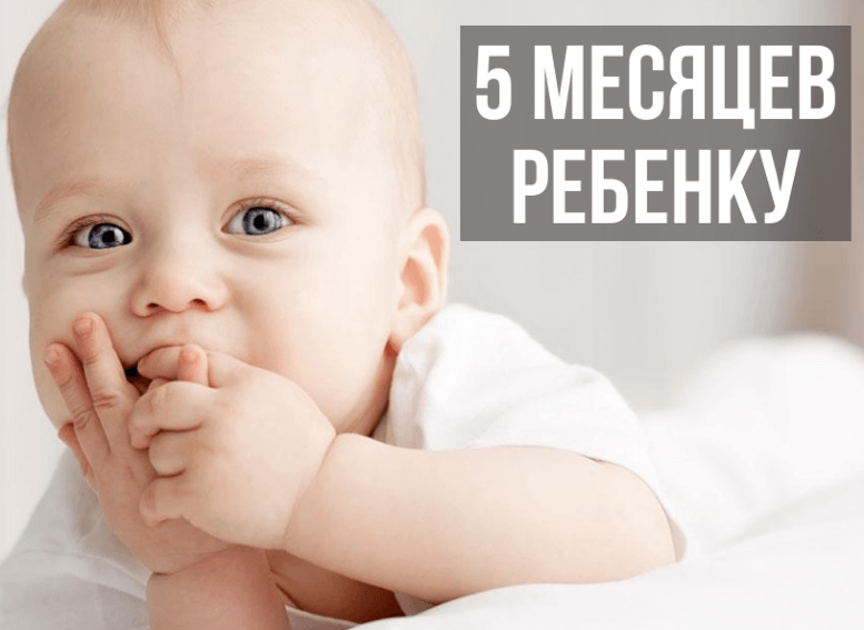 Ребенок 5 месяцев