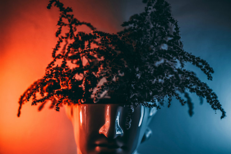 Photo by Vadim Sadovski on Unsplash